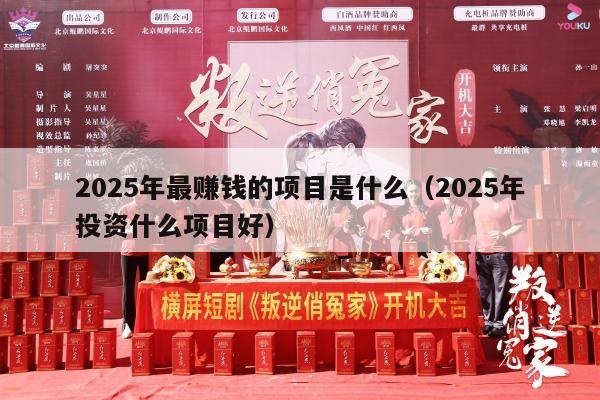 2025年最赚钱的项目是什么（2025年投资什么项目好）