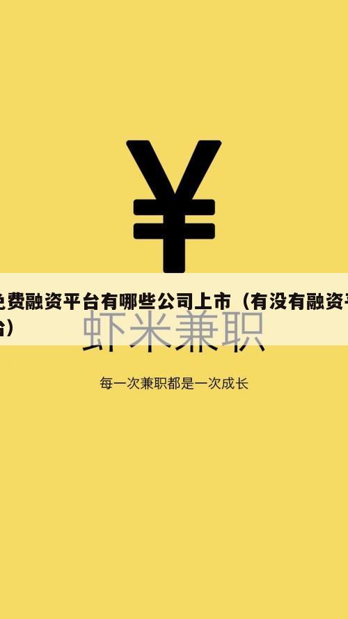 免费融资平台有哪些公司上市（有没有融资平台）