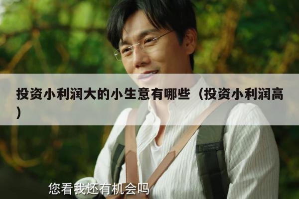 投资小利润大的小生意有哪些（投资小利润高）