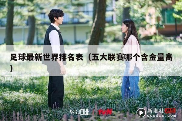 足球最新世界排名表（五大联赛哪个含金量高）
